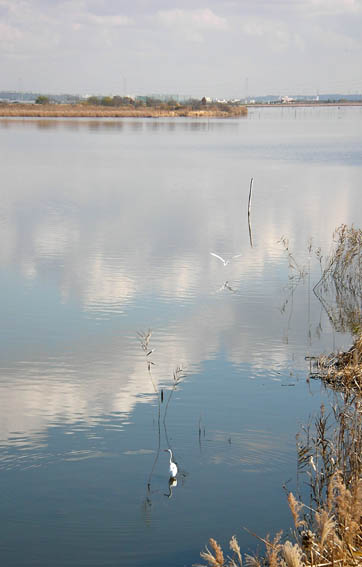 e0064400_4542293.jpg