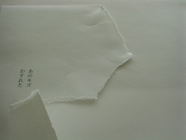 e0041310_23495847.jpg