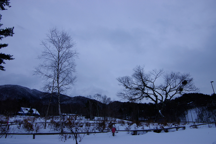 c0057221_22524714.jpg