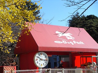 d0023323_13947.jpg