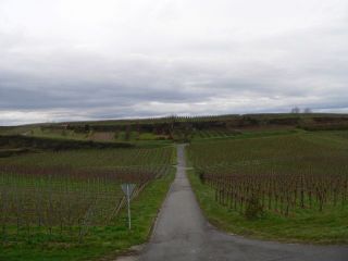 d0014524_2025129.jpg