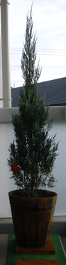 f0013029_21264343.jpg