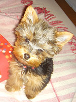 c0024345_317378.jpg