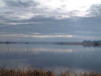 b0045357_834739.jpg