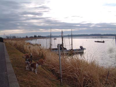 b0045357_836919.jpg