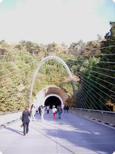 e0038862_05067.jpg