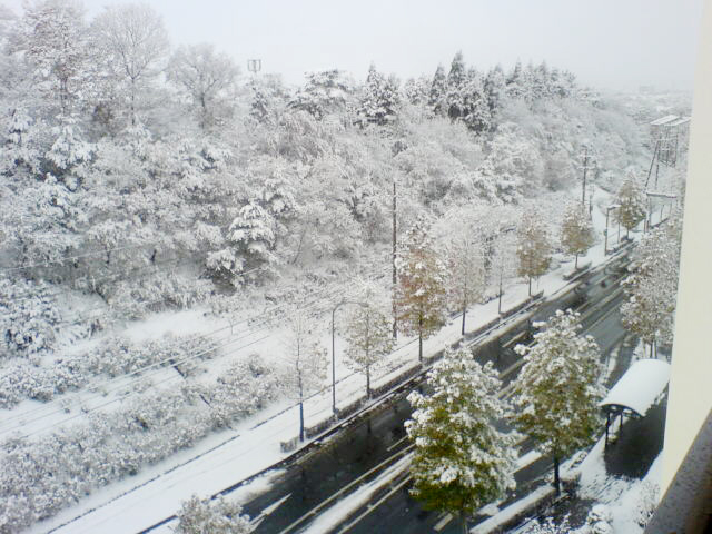 b0052998_10491159.jpg
