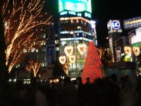 b0031710_17491097.jpg