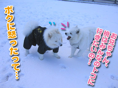 a0044521_0323880.jpg