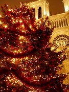 ＊はじめて＊　　2005,12,12  Paris_a0030038_621430.jpg