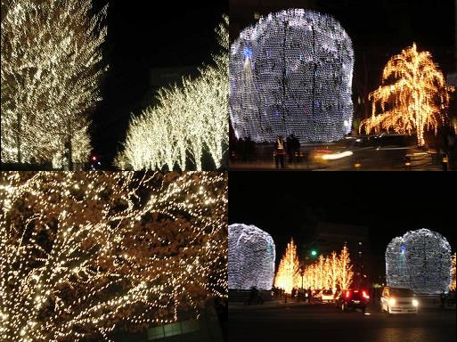 クリスマス気分、楽しいはずが、、、_c0049950_40453.jpg