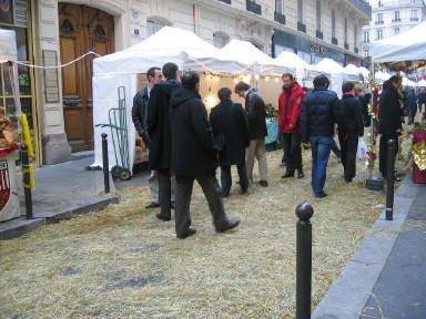 e0020455_2033028.jpg