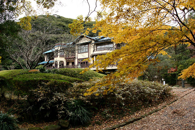 鎌倉、江ノ島　名残の紅葉（１２月１１、１２日）_c0057265_21192843.jpg