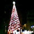 a0052666_18311935.jpg