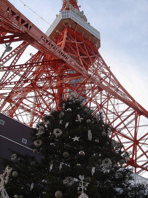 紅葉谷、東京タワー_c0007169_22192858.jpg