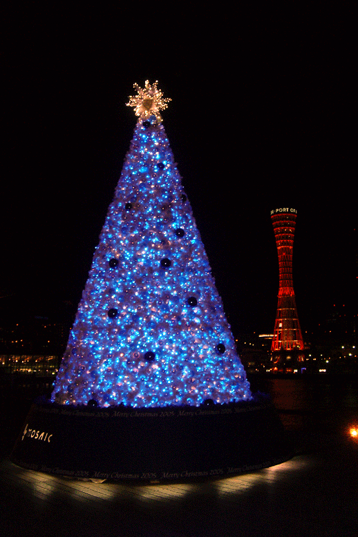 e0063003_2154429.gif