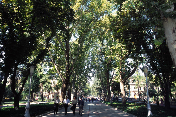 b0043304_234402.jpg