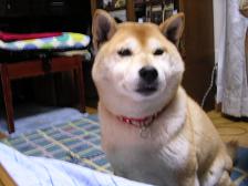 散歩の時間_c0049950_20595593.jpg