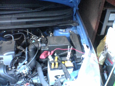 c0041068_173654.jpg