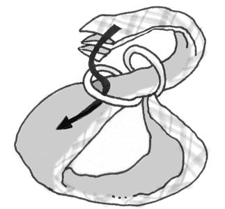 c0071003_2312885.gif