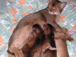 c0074908_1532546.jpg