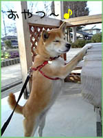 c0060620_03779.jpg