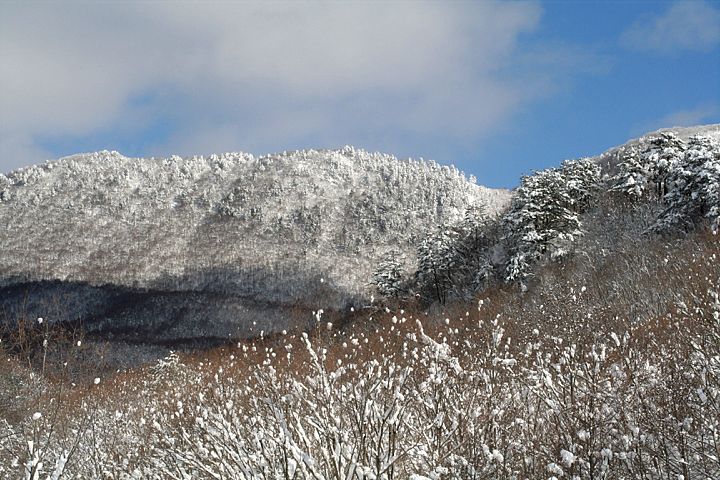 d0012134_2229023.jpg