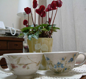 c0069036_238397.jpg
