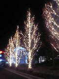 c0053638_1325365.jpg
