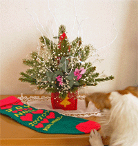 b0065067_23482466.gif