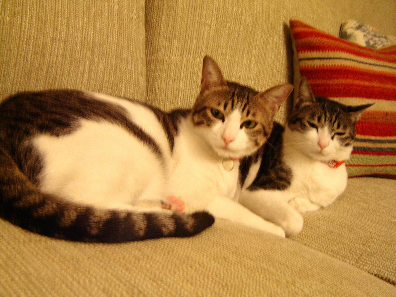 d0037284_12413255.jpg