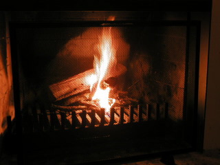 c0062685_0304458.jpg