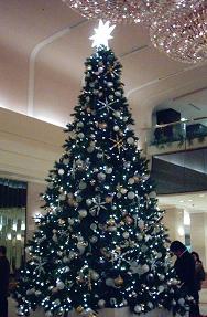 a0057402_2382324.jpg