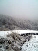 c0032530_4115285.jpg