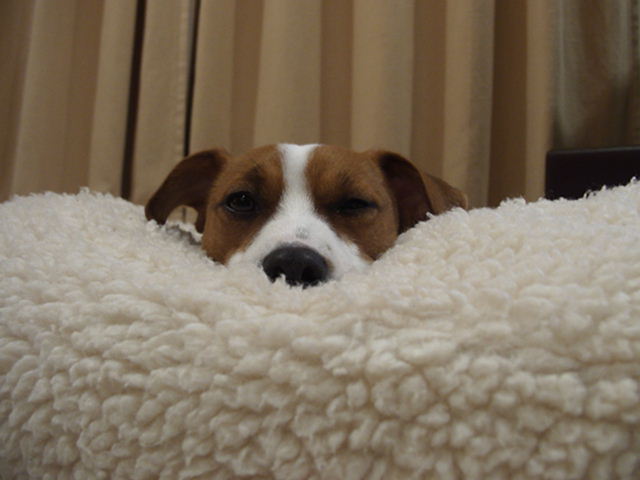 c0035931_06812.jpg