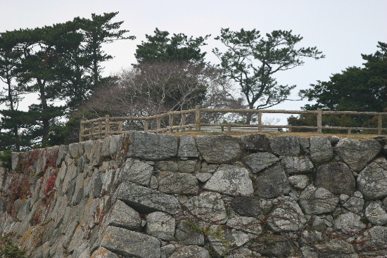 e0018678_0103268.jpg
