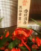 d0052904_065377.jpg