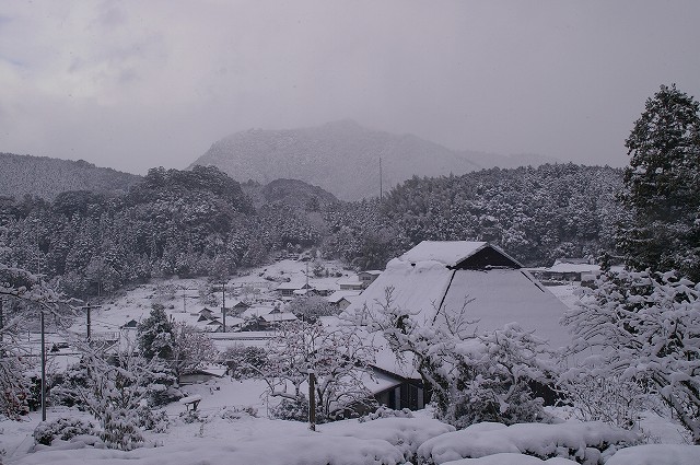 愛媛・南予・・昔／雪遊び_a0061206_16175659.jpg