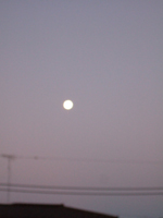 a0018010_1332578.jpg