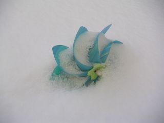 夏の忘れ物と5号館の地図_c0025115_14355170.jpg