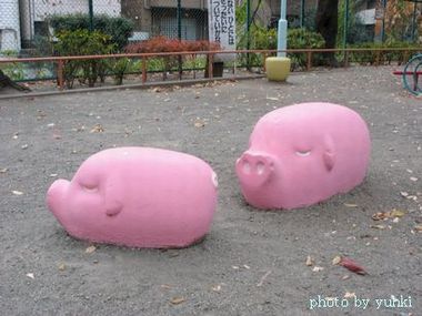 子豚の遊具、_a0043323_2012852.jpg