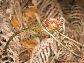 a0059328_201660.jpg