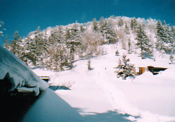 a0044453_23173448.gif