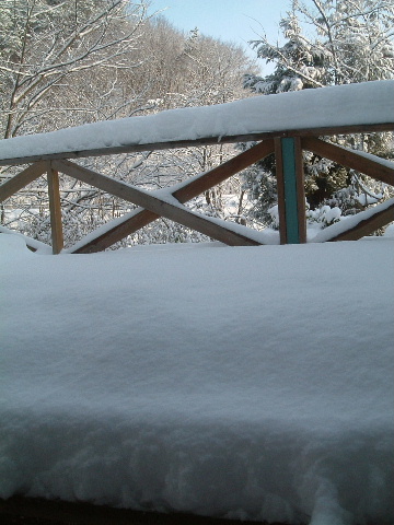 b0067569_2111364.jpg