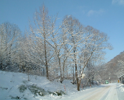 b0067569_21171760.jpg