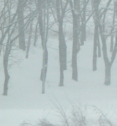 b0067569_2138778.jpg