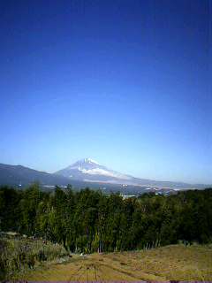 寒いけど_b0016474_1491047.jpg