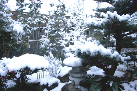 油断してたら本気で雪降ってます（＾＾；；_e0072704_17115746.jpg