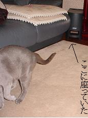c0066610_16313785.jpg