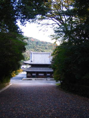 d0047811_17493388.jpg